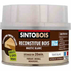 pate a bois saintobois